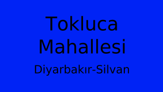 Tokluca Mahallesi Thumbnail