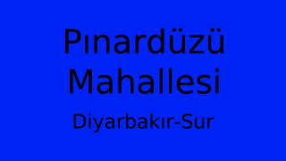 Pınardüzü Mahallesi Thumbnail