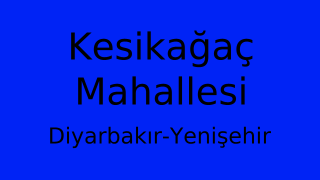 Kesikağaç Mahallesi Thumbnail