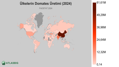 Ülkelerin Domates Üretimi (2024) Thumbnail