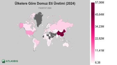 Ülkelere Göre Domuz Eti Üretimi (2024) Thumbnail