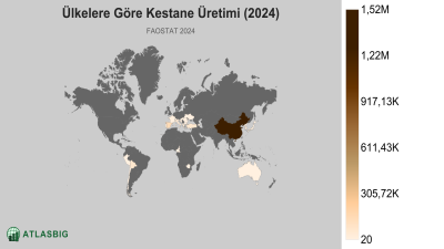 Ülkelere Göre Kestane Üretimi (2024) Thumbnail