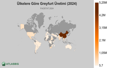 Ülkelere Göre Greyfurt Üretimi (2024) Thumbnail