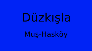 Düzkışla, Hasköy, Muş Thumbnail
