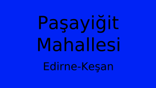 Paşayiğit Mahallesi Thumbnail