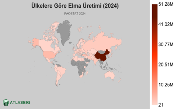 Ülkelere Göre Elma Üretimi (2024) Thumbnail