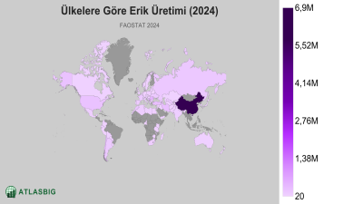 Ülkelere Göre Erik Üretimi 2026 Thumbnail
