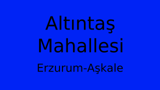 Altıntaş Mahallesi Thumbnail