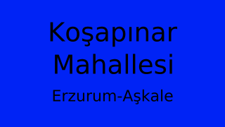 Koşapınar Mahallesi Thumbnail