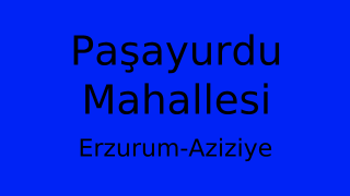 Paşayurdu Mahallesi Thumbnail