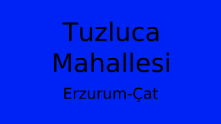 Tuzluca Mahallesi Thumbnail
