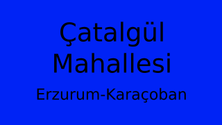 Çatalgül Mahallesi Thumbnail