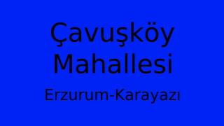 Çavuşköy Mahallesi Thumbnail