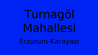 Turnagöl Mahallesi Thumbnail