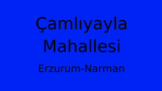Çamlıyayla Mahallesi Thumbnail