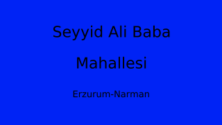 Seyyid Ali Baba Mahallesi Thumbnail