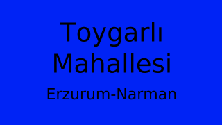 Toygarlı Mahallesi Thumbnail