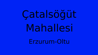 Çatalsöğüt Mahallesi Thumbnail
