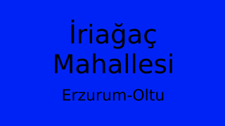 İriağaç Mahallesi Thumbnail