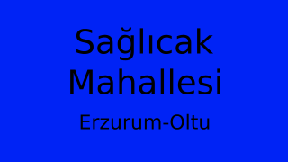 Sağlıcak Mahallesi Thumbnail