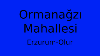 Ormanağzı Mahallesi Thumbnail