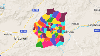 Erzurum Pasinler'in Mahalleleri, Nüfus Bilgileri, Haritalar ve İstatistikler Thumbnail