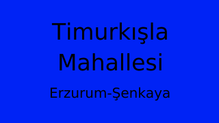 Timurkışla Mahallesi Thumbnail