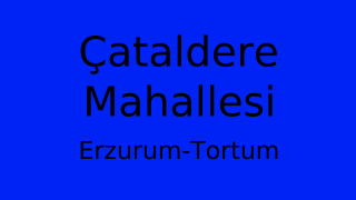 Çataldere Mahallesi Thumbnail