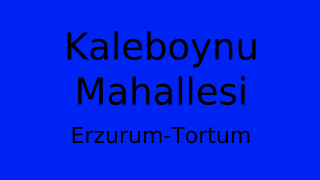 Kaleboynu Mahallesi Thumbnail