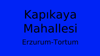 Kapıkaya Mahallesi Thumbnail
