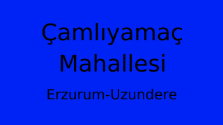 Çamlıyamaç Mahallesi Thumbnail