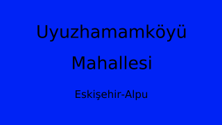 Uyuzhamamköyü Mahallesi Thumbnail