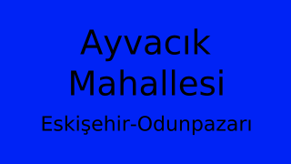 Ayvacık Mahallesi Thumbnail