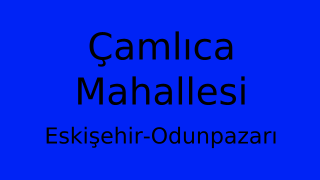 Çamlıca Mahallesi Thumbnail