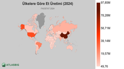 Ülkelere Göre Et Üretimi (2024) Thumbnail
