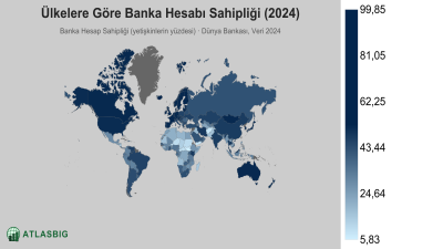 Ülkelere Göre Banka Hesabı Sahipliği 2026 Thumbnail