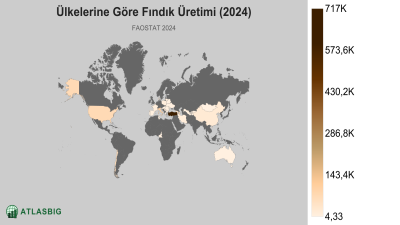 Ülkelerine Göre Fındık Üretimi (2024) Thumbnail