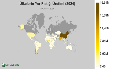 Ülkelerin Yer Fıstığı Üretimi (2024) Thumbnail