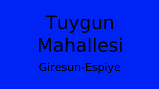 Tuygun Mahallesi Thumbnail