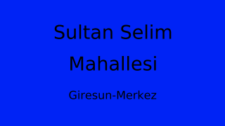 Sultan Selim Mahallesi Thumbnail