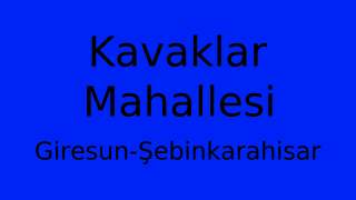 Kavaklar Mahallesi Thumbnail
