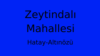 Zeytindalı Mahallesi Thumbnail