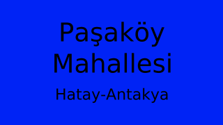 Paşaköy Mahallesi Thumbnail