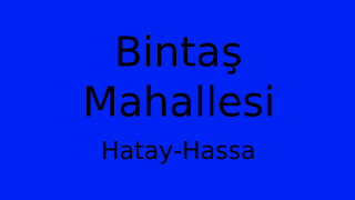 Bintaş Mahallesi Thumbnail