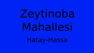 Zeytinoba Mahallesi Thumbnail