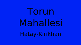 Torun Mahallesi Thumbnail