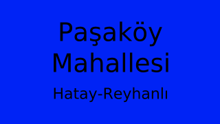 Paşaköy Mahallesi Thumbnail
