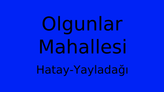 Olgunlar Mahallesi Thumbnail