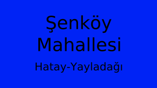 Şenköy Mahallesi Thumbnail