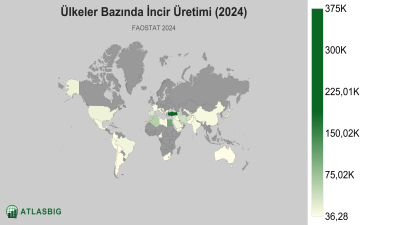 Ülkeler Bazında İncir Üretimi 2026 Thumbnail